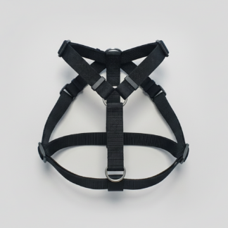 Arnés Dog Basic